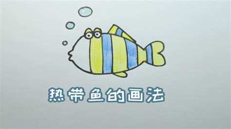 五六岁简笔画优秀作品 带颜色热带鱼的画法图解💛巧艺网