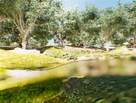秋林里溪水清澈山间小溪清澈狂野的水流视频特效素材-千库网