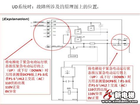 西子奥的斯GeN2™-MR小机房节能电梯品鉴会在南宁举行 - 财经滚动新闻 - 东南网