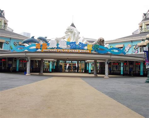 光影海洋艺术展登陆梅龙镇广场 7米超级大水母现身- 上海本地宝