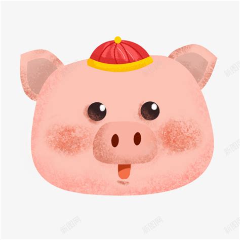 新年猪头xianh图片 新年猪头xianh图片