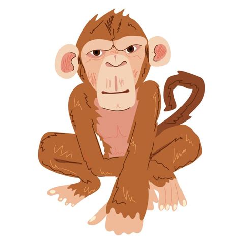 2016猴年如何为男宝宝取名 -好名字网