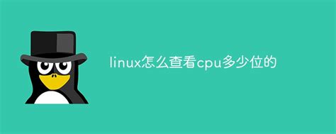 linux怎么查看cpu多少位的-站长资讯网