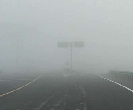 芜湖今日多地出现大雾 多条高速公路暂时封闭_安徽频道_凤凰网