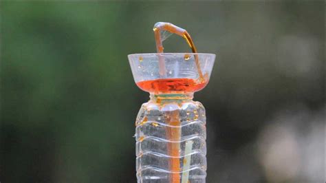 塑料瓶自制饮水机原理,儿童做手工饮水机,矿泉水瓶饮水器_大山谷图库