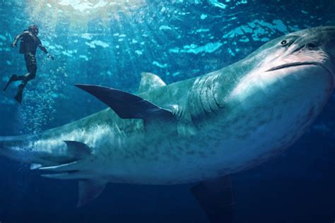《巨齿鲨2：深渊》曝光终极预告&终极海报