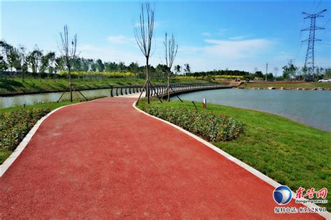 河口湖滨新区核心景观已初步成型 居民休闲娱乐好去处-新闻中心-东营网
