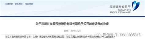 关于对浙江祥云科技股份有限公司给予公开谴责处分的决定_热点聚焦_中国贸易金融网