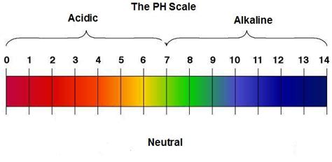 pH电极信息，pH电极详解-行业知识-酸度计_工业ph计_笔式ph计_电子盐度计-柯迪达电子