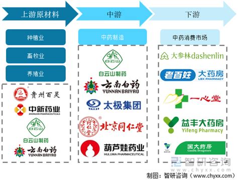 2022年中国中药材产业链、政策、市场现状、竞争格局和趋势分析[图]_智研咨询