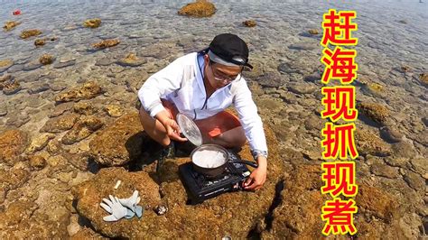 渔夫跑几十公里找新地方赶海，野生螃蟹又大又多，抓爽了_腾讯视频