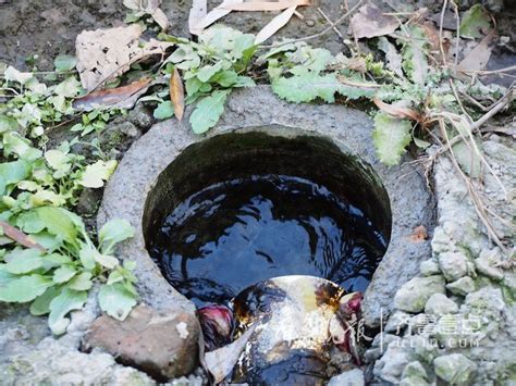 势起新东站！济南将打造白泉湿地，规划绿地3000亩_凤凰网