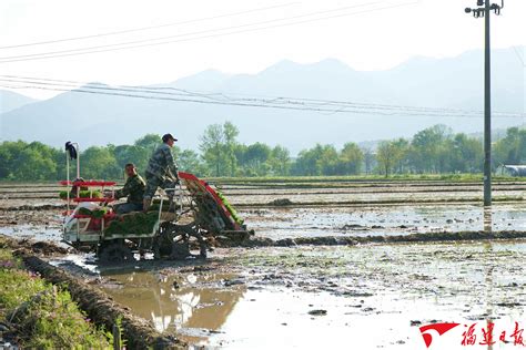 浦城：机械化种植 为春耕按下“快进键”-中国福建三农网