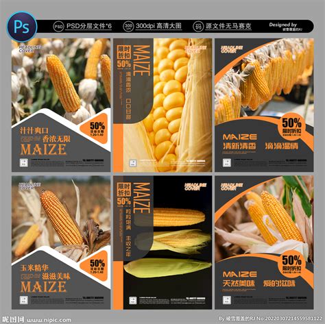2017国家玉米新品种核心展示--参试品种榜_推荐阅读_资讯_种业商务网