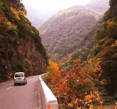 这三条国道绝对是秦岭自驾的最佳选择, 带你领略不一样的风景!