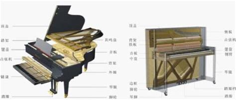 钢琴发声原理是什么？3D动画演示过程，钢琴发声竟然这么复杂！_新浪新闻