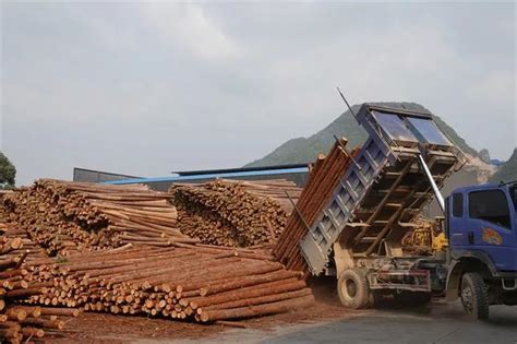 到2025年，柳州林产加工业将冲刺1000亿元产值-木业网