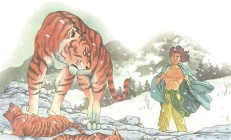 虎年说虎，推荐20本关老虎的绘本 - 知乎