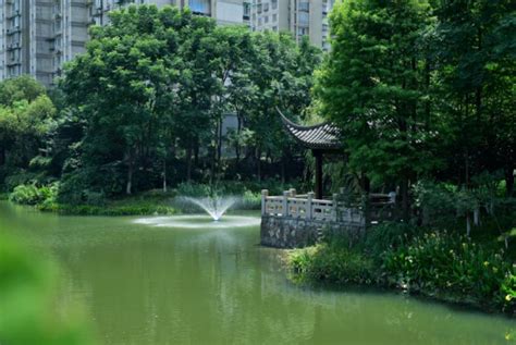 美丽河湖建设行动成果展——杭州江干区环丁水系