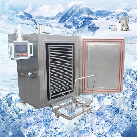 用液氮技术冷冻海鲜 口感确保原汁原味 - 行业动态 - 液氮速冻机-加注机价格-成都科莱斯【官网】