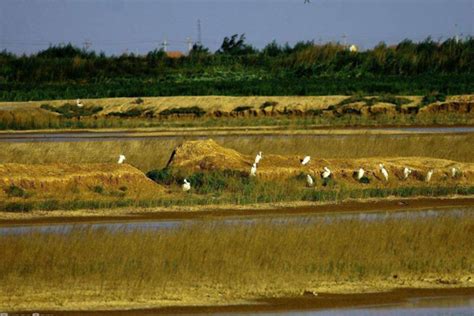 《黄河生态保护治理攻坚战行动方案》发布 推进黄河流域绿色低碳转型_经济民生_湖南红网新闻频道