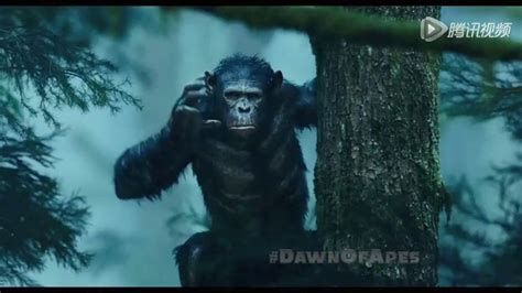 《猩球崛起2黎明之战》，一部让大猩猩感动的电影_电影_高清1080P在线观看平台_腾讯视频