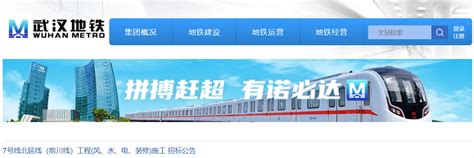 武汉市公共资源交易平台招标投标交易系统（网上开标大厅）_系统开发-程序员客栈