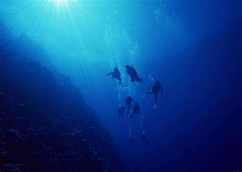 多图 神秘的深海，带您走进深海不常见的海洋生物|深海|鱼|海底_新浪新闻