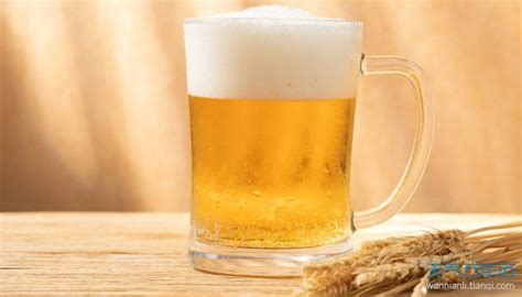 国产啤酒哪个牌子最好喝 国产啤酒排行榜前十名 - 神奇评测