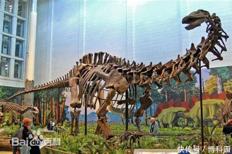 重达70吨，世界最大恐龙易主！发掘15年未结束，见过恐龙屁眼吗？