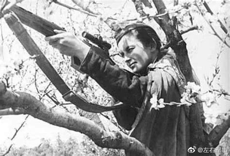二战中苏联美女战士，曾射杀309人，是历史上最成功的女性狙击手|狙击手|苏联|帕夫利琴科_新浪新闻