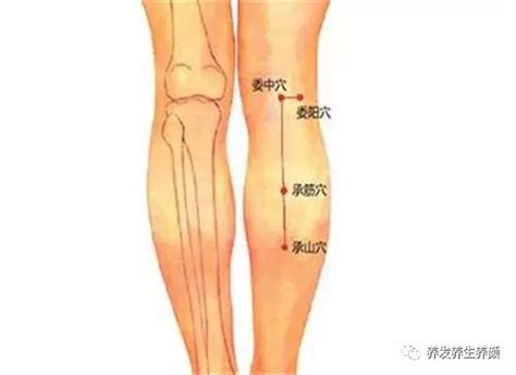 承山的准确位置图图片