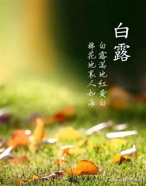 非主流头像唯美诗句