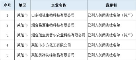 从国内企业首次引进到世界首创，山东能源鲁南化工科技攻关结硕果---山东财经网