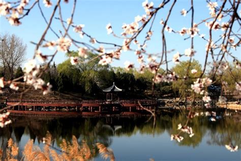 一天看不完的美景！北京真正的万园之园，园林类型比颐和园都多！