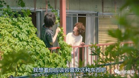 第10集结局-02：日剧《最爱》吉高由里子_高清1080P在线观看平台_腾讯视频