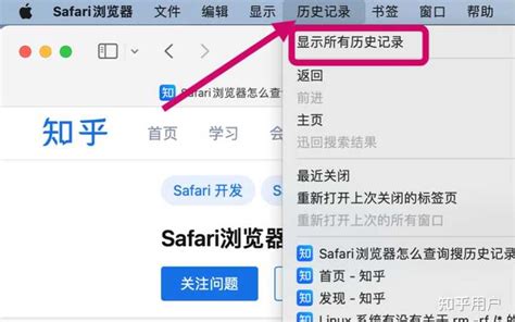Safari浏览器_官方电脑版_51下载
