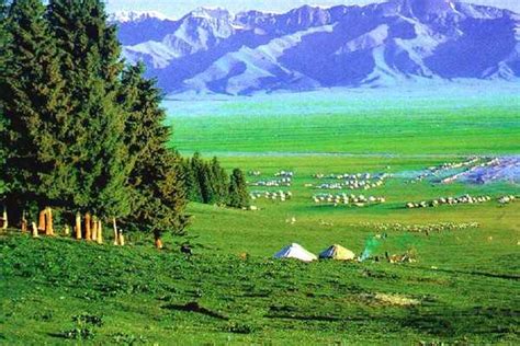 新疆伊犁最大的夜市 · 伊宁市丝路之光旅游小镇_文化