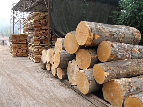 上海欧洲榉木厂家 白榉木供应商--板材原木_产品图片信息_中国木材网！