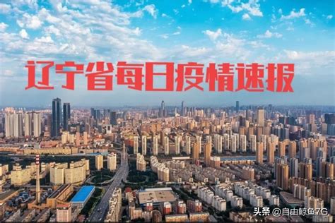 沈阳地铁4号线最新消息，35列…-搜狐大视野-搜狐新闻