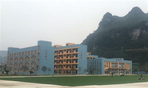 筠连县巡司镇中心小学校迁建建设项目竣工验收 - 中建鸿腾建设集团有限公司