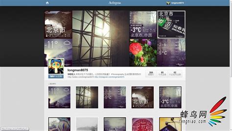 instagram网页版 - 番茄系统家园