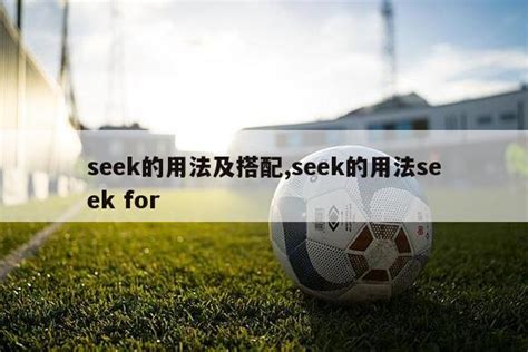 search for和look for的区别_初三网