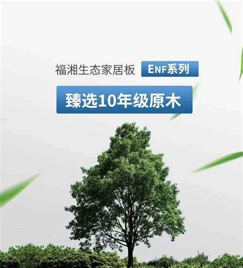 择良木而栖，成一生之“福”——福湘取材之道-中国木业网