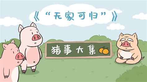 你只知道吃猪肉？这10个关于猪的冷知识让你颠覆世界观！