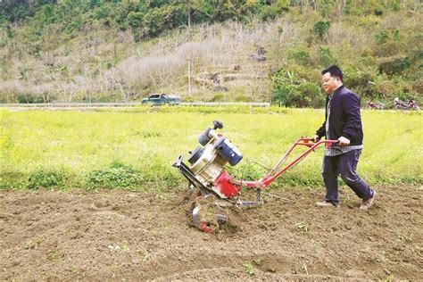 今年春耕 广西水稻播种增加不少“科技范” - 国际在线移动版