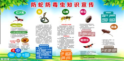 捕蛇 防蛇工程-虫害控制种类-产品中心 - 江苏君安害虫防治有限公司