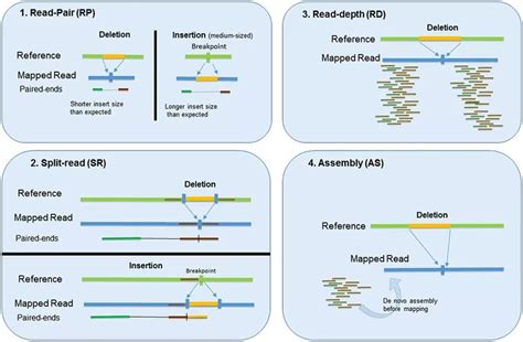 针对DMD基因5号外显子突变的sgRNA及载体和应用的制作方法