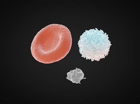 人的血型是由红细胞表面抗原决定的．左表为A型和O型血的红细胞表面抗原及其决定基因.如图为某家庭的血型遗传图谱． 血型 红细胞表面A抗原 抗原 ...