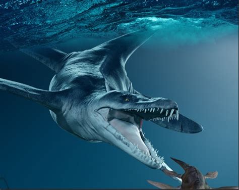 如果沧龙遇上巨齿鲨，谁才是真正的海洋霸主？沧龙是否吊打巨齿鲨